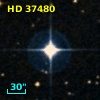 HD  37480