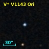 V* V1143 Ori