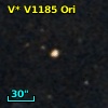 V* V1185 Ori