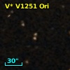 V* V1251 Ori