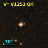 V* V1253 Ori