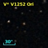 V* V1252 Ori