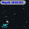Mayrit 1016202
