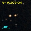 V* V1079 Ori