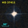 HD  37411