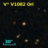 V* V1082 Ori