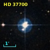 HD  37700