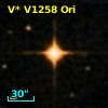 V* V1258 Ori