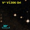 V* V1306 Ori