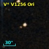 V* V1256 Ori