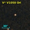 V* V1050 Ori