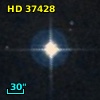 HD  37428