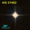 HD  37482