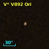 V* V892 Ori