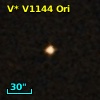 V* V1144 Ori