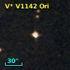 V* V1142 Ori