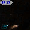 PP  37