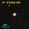V* V1254 Ori