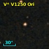 V* V1250 Ori