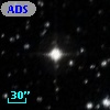 ADS   979
