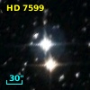 HD   7599