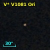 V* V1081 Ori