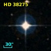 HD  38275