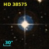 HD  38575