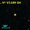 V* V1189 Ori