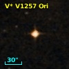 V* V1257 Ori