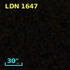 LDN 1647