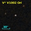 V* V1002 Ori