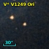 V* V1249 Ori