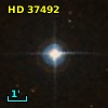 HD  37492