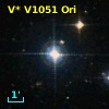 V* V1051 Ori