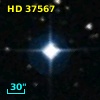 HD  37567
