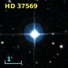 HD  37569