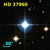HD  37960