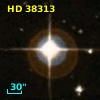 HD  38313