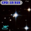 CPD-19   919