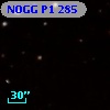 NOGG P1  285