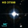 HD  37508