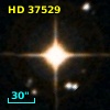 HD  37529