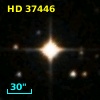 HD  37446