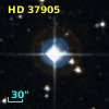 HD  37905