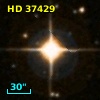 HD  37429