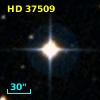 HD  37509