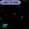 LEDA   75443
