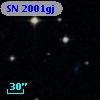 SN 2001gj