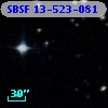 SBSF 13-523-081